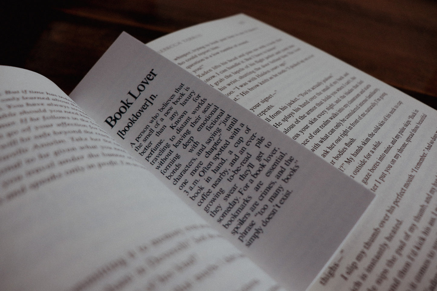 "Book Lover (n.)" Definition Bookmark