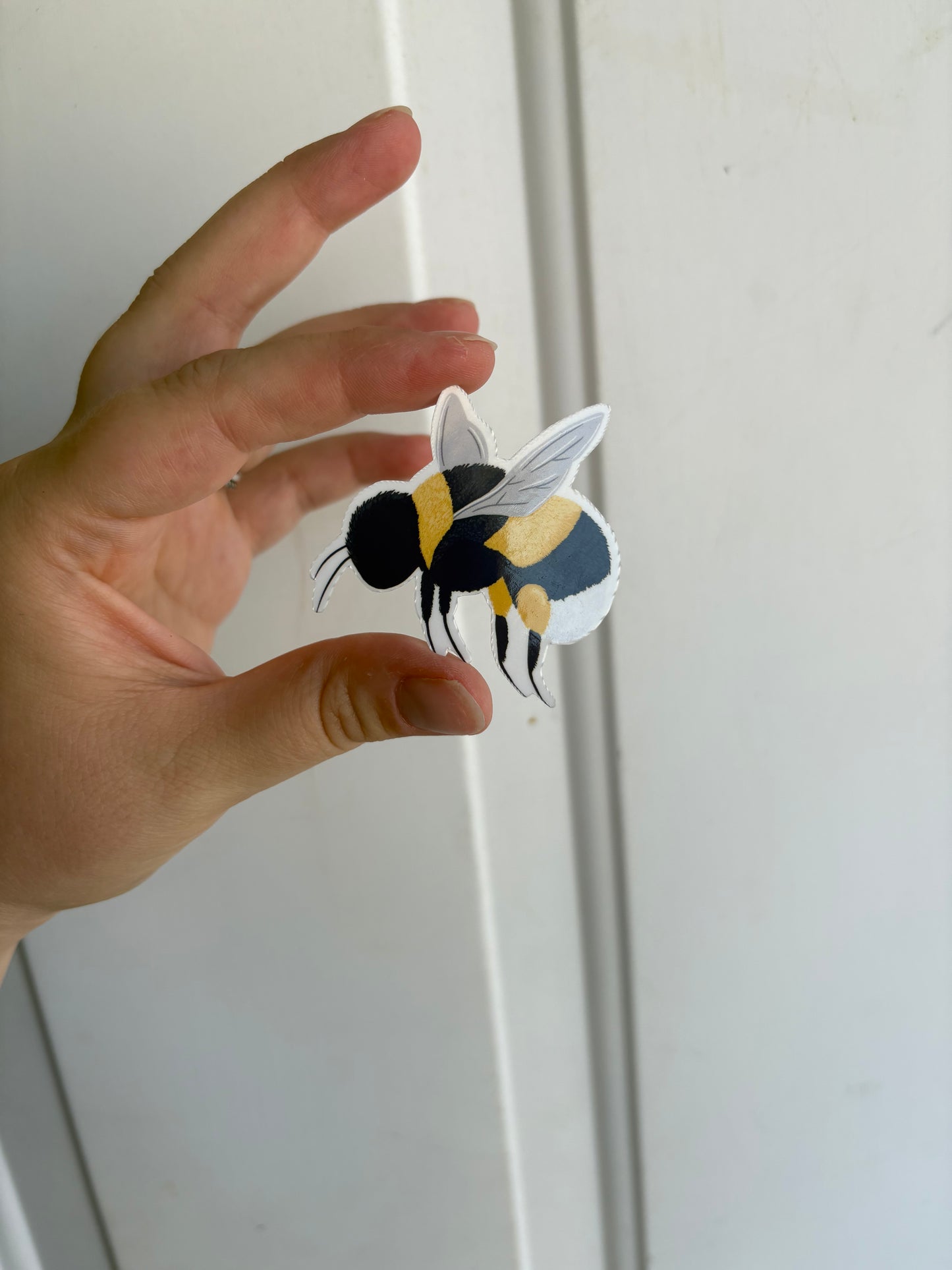 Stickers (Cut Errors/Bubbles)