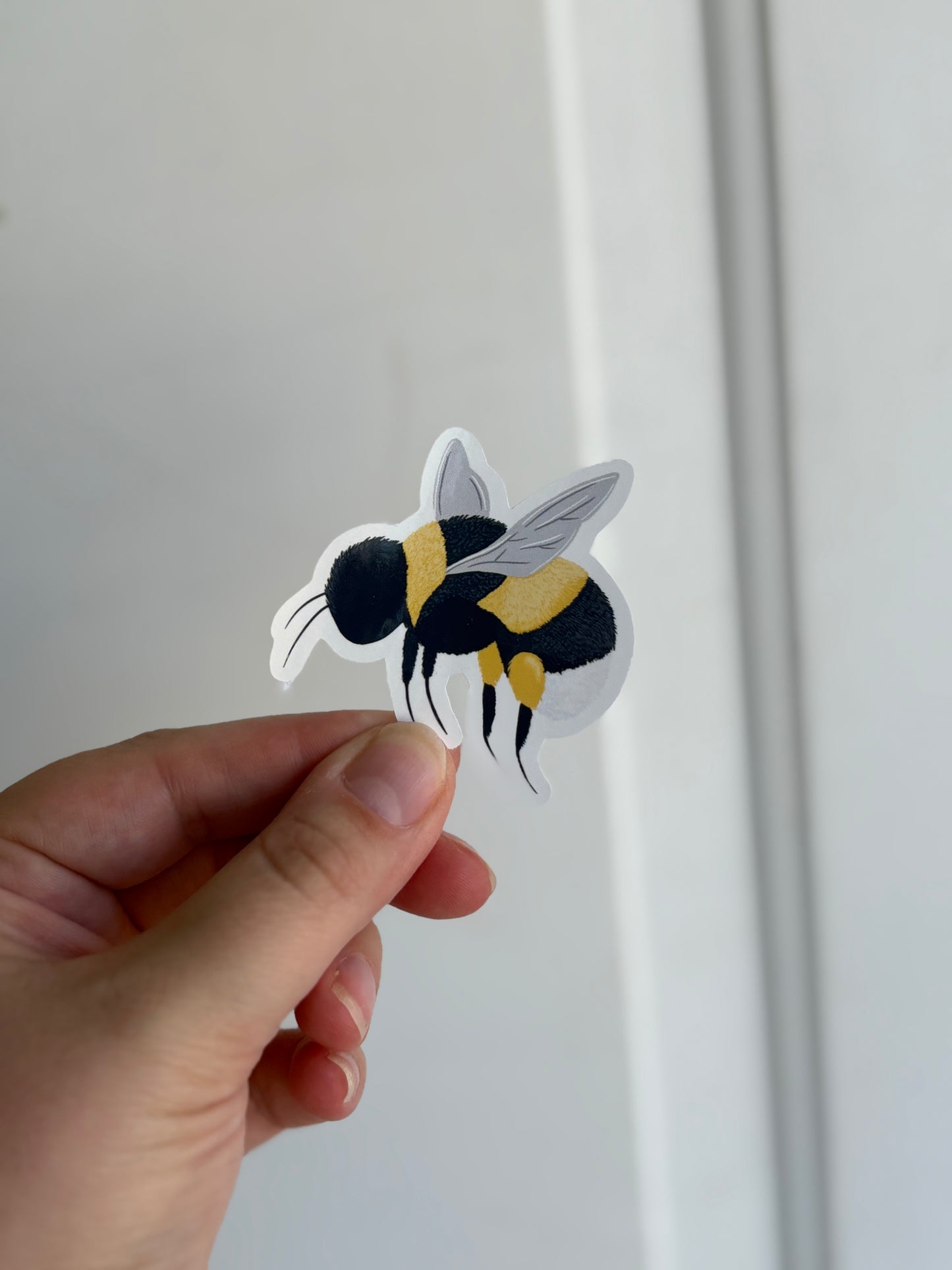 Stickers (Sizing/Color)