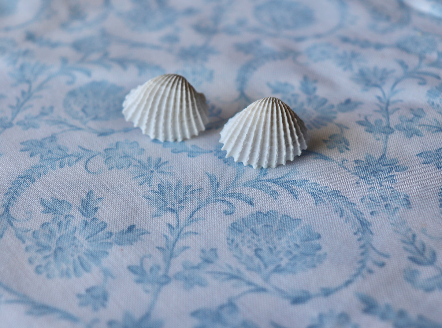 Ivory Tide (Studs)
