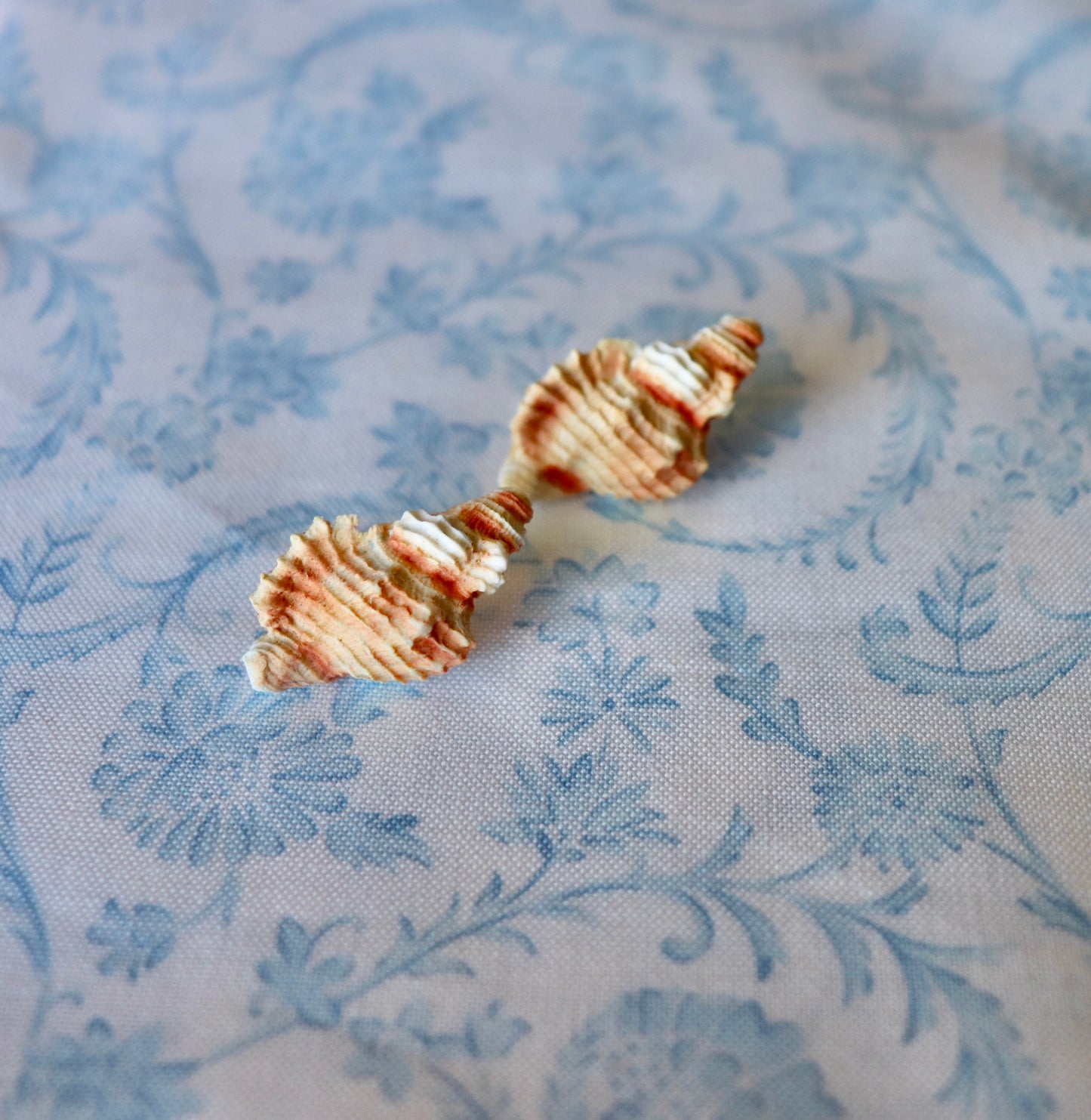 Beachcomber Studs