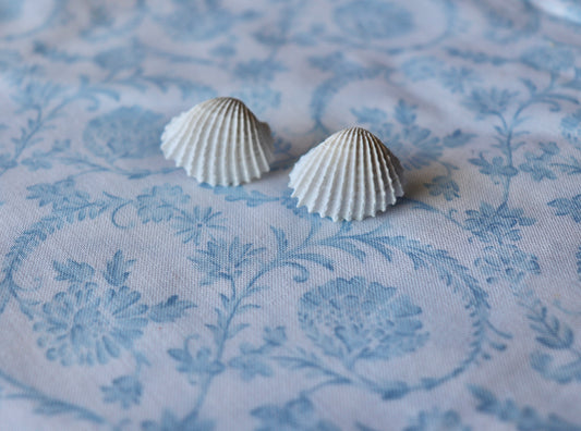 Ivory Tide (Studs)